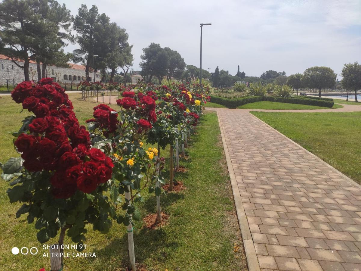 Apartament Bluemarine Umag Zewnętrze zdjęcie